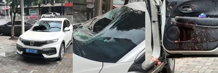 下载  20260901T134019