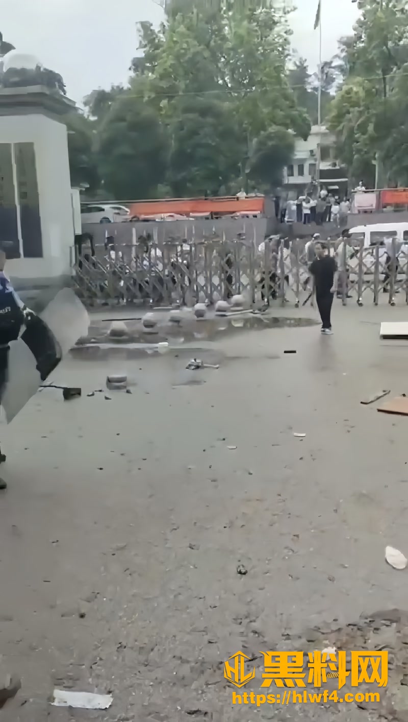02广西崇左土地纠纷事件1 2wm