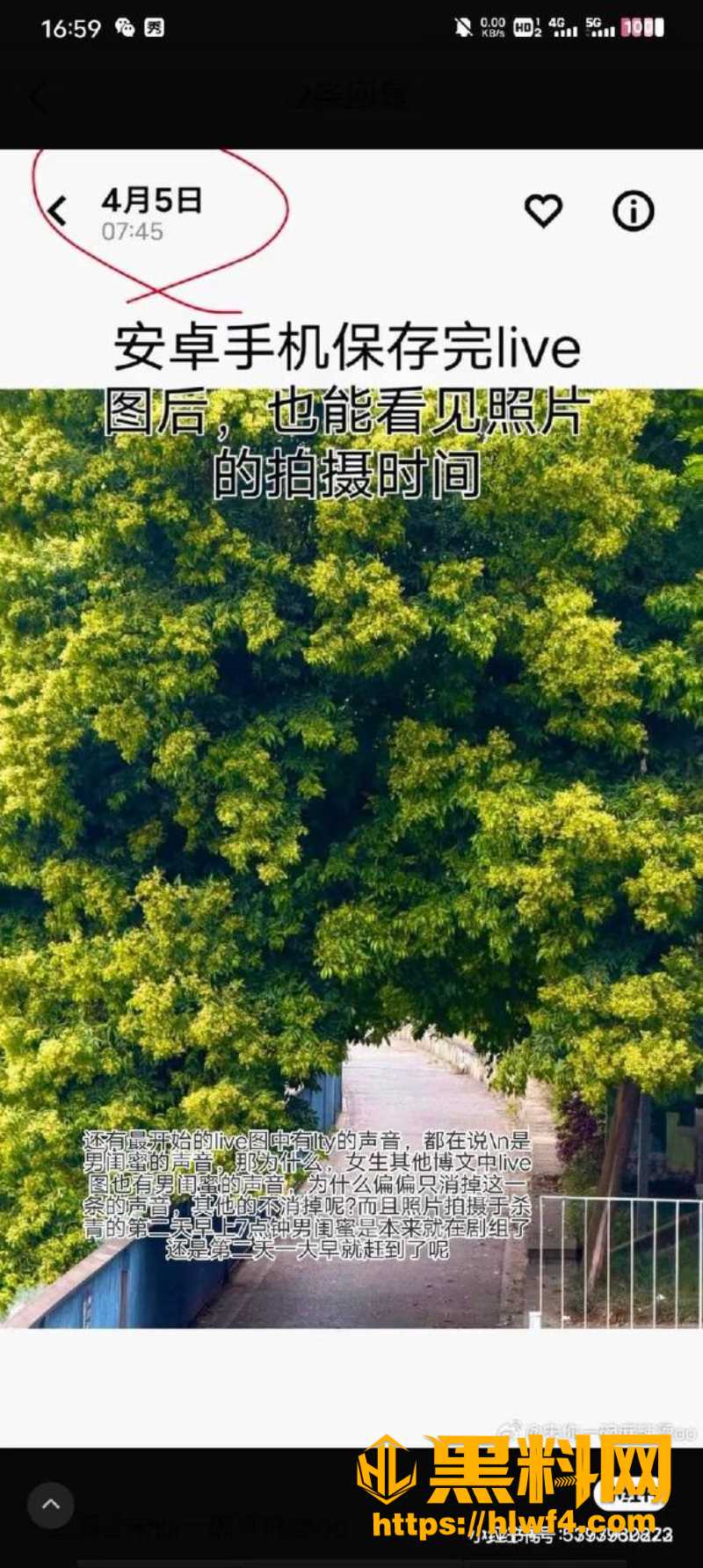 文娱榜第一16